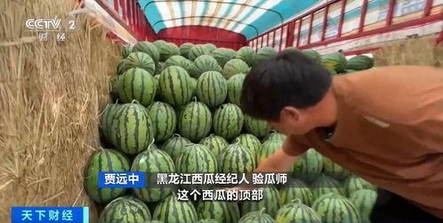 吃瓜自己成瓜了,我的奇妙蜕变之旅