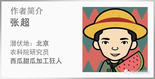 醒悟吃瓜,揭秘网络舆论背后的真相与反思