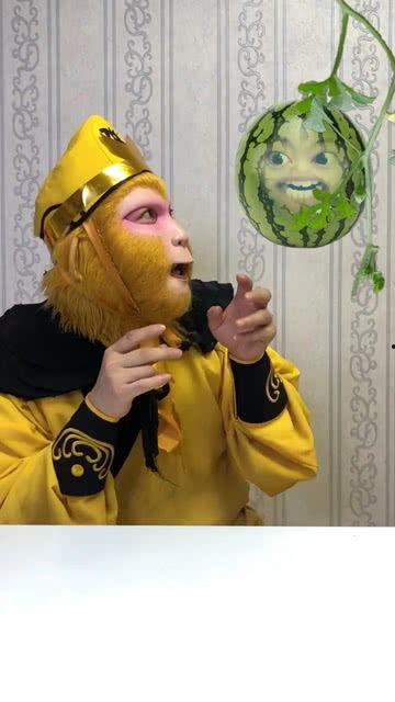 小陈吃瓜吐籽视频,趣味横生瞬间捕捉