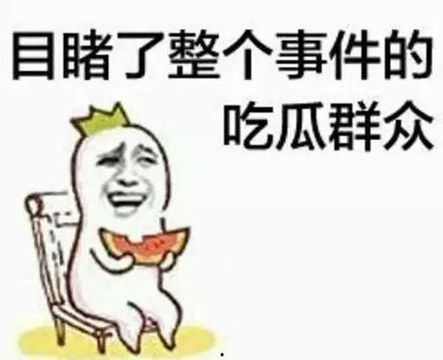 带你吃瓜马桶篇,马桶篇的吃瓜大事件