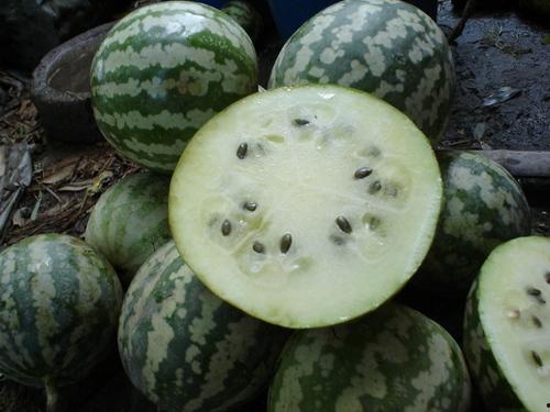 绿包瓜怎么吃,探索清新口感与营养价值的完美结合