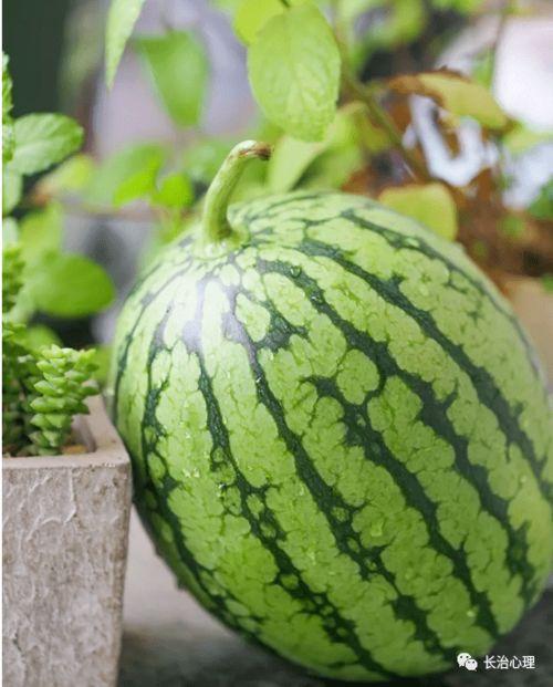 小陈吃瓜,揭秘娱乐圈那些不为人知的幕后故事