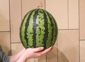 广州急诊吃瓜,一场“吃瓜群众”的围观盛宴